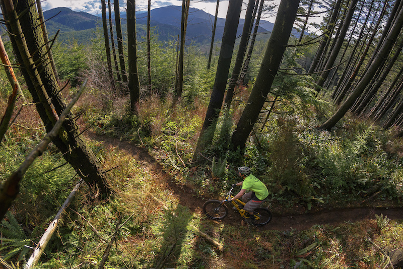 Wonderland Mountain Biking Trail Bellingham, Washington