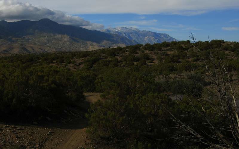 The Pinyon Flats Loop is located near the Santa Rosa Mountains near the north slope. The trailhead is nestled between the peaceful hamlets of Pinyon Pines and Spring Crest.