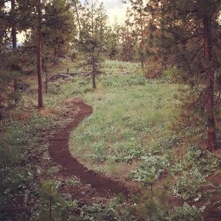 Newly cut trail, benched and made for an alternative easy climbing route
