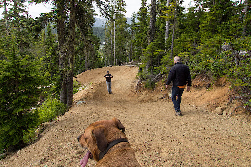 mt washington bike park