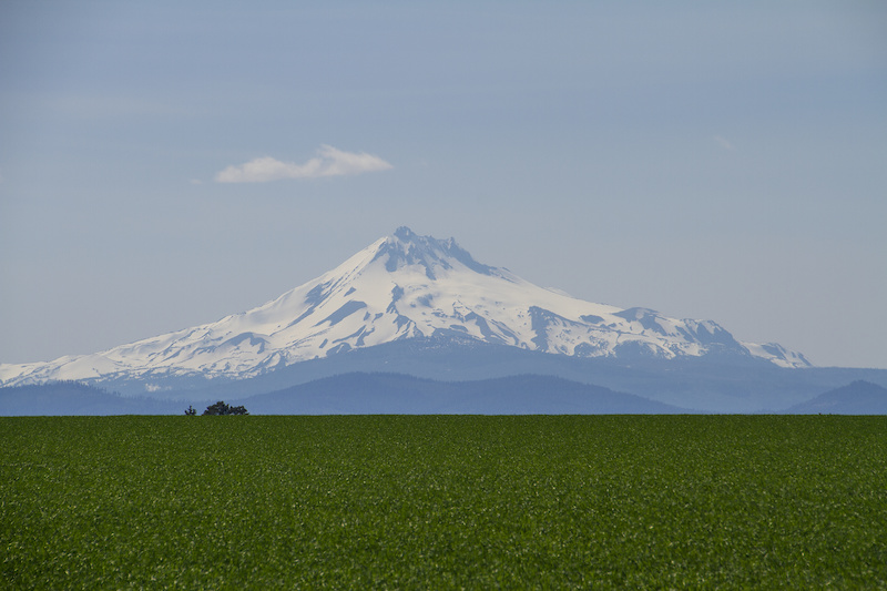 in Redmond, Oregon, United States photo by quincyshanks Pinkbike