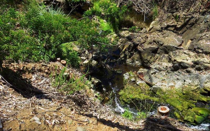 S. Copper Creek Connector Mountain Biking Trail Encinitas