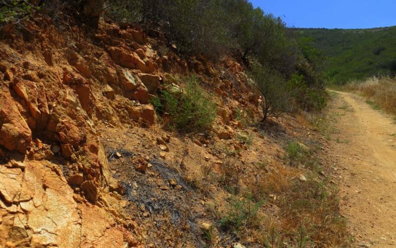 The trail consist of hardpacked dirt with loose and exposed rocks.