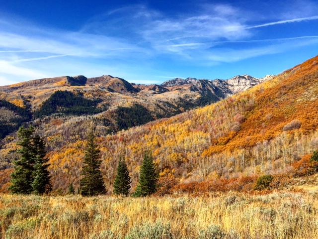 Wasatch County, Utah Mountain Biking Trails | Trailforks