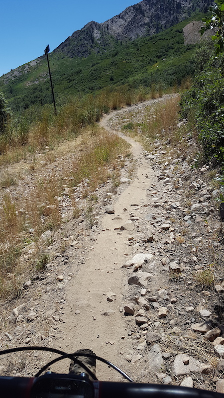 Exposed and steep section, bring your climbing legs