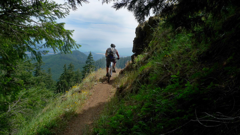 Breaking out of the trees on the infamous Alpine trail.