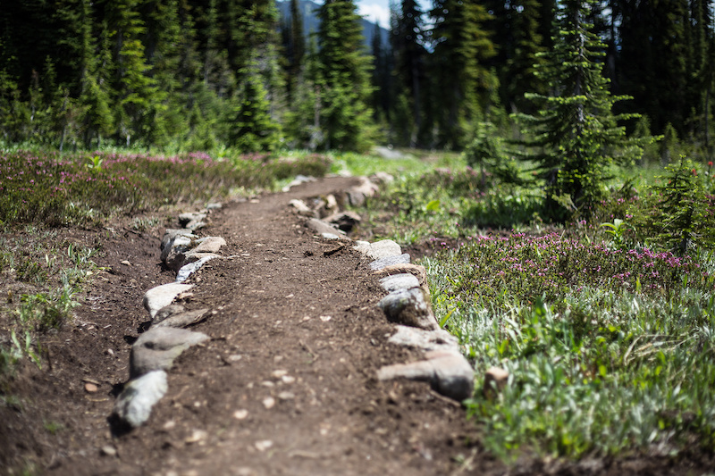 Building sustainable all weather trail in the alpine.