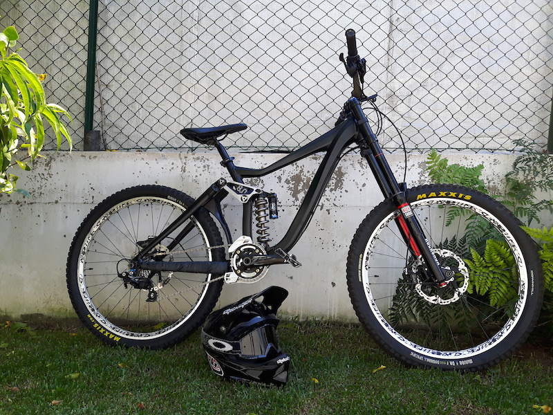 giant glory for sale