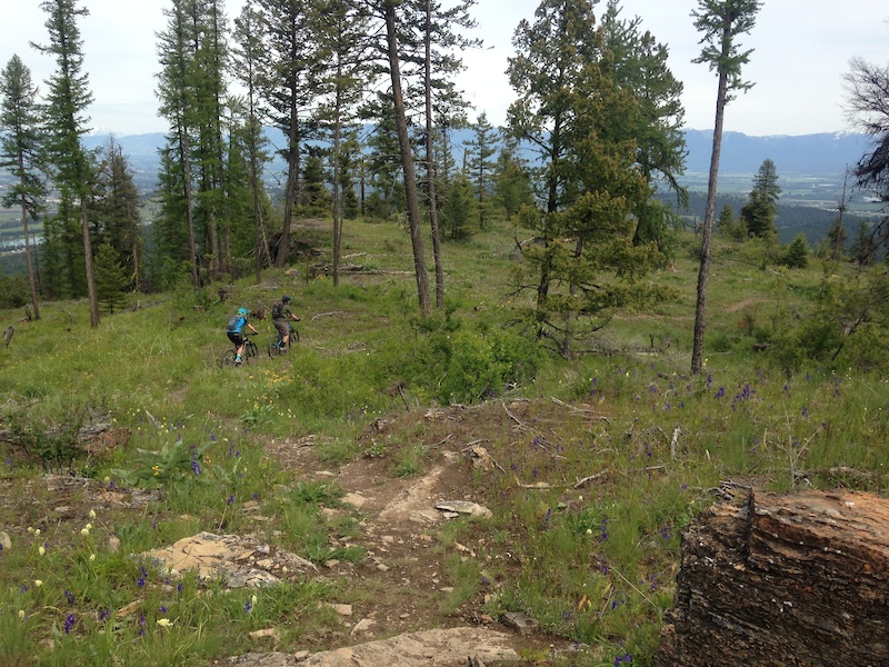 Chase Overlook Trail Multi Trail Kalispell, Montana