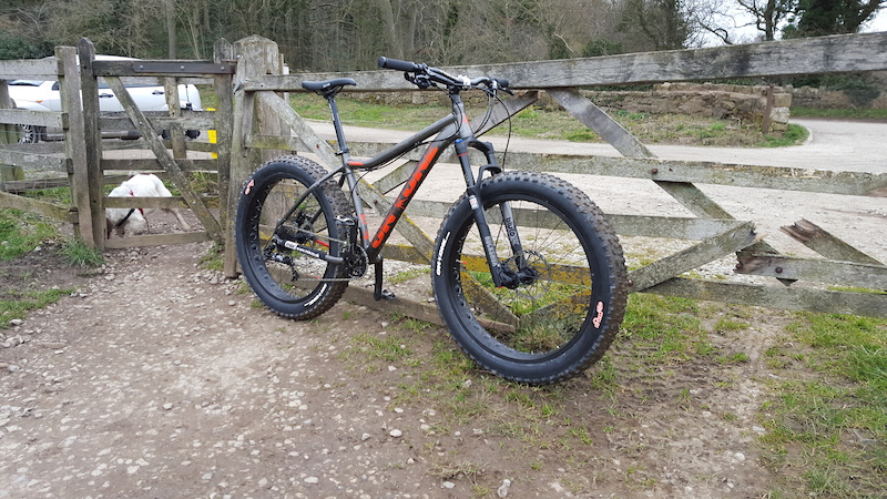 on one fatty for sale