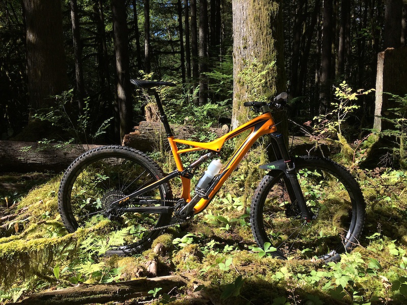 stumpjumper 2016 carbon