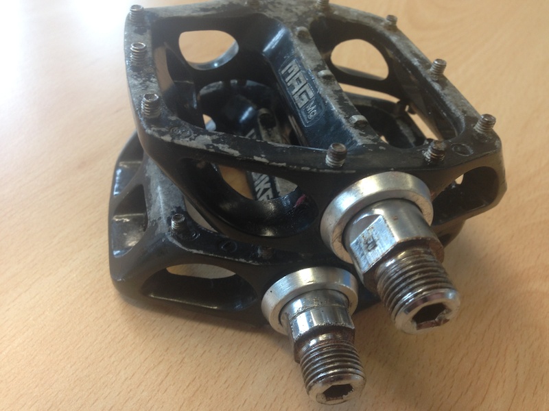 dmr v12 magnesium review