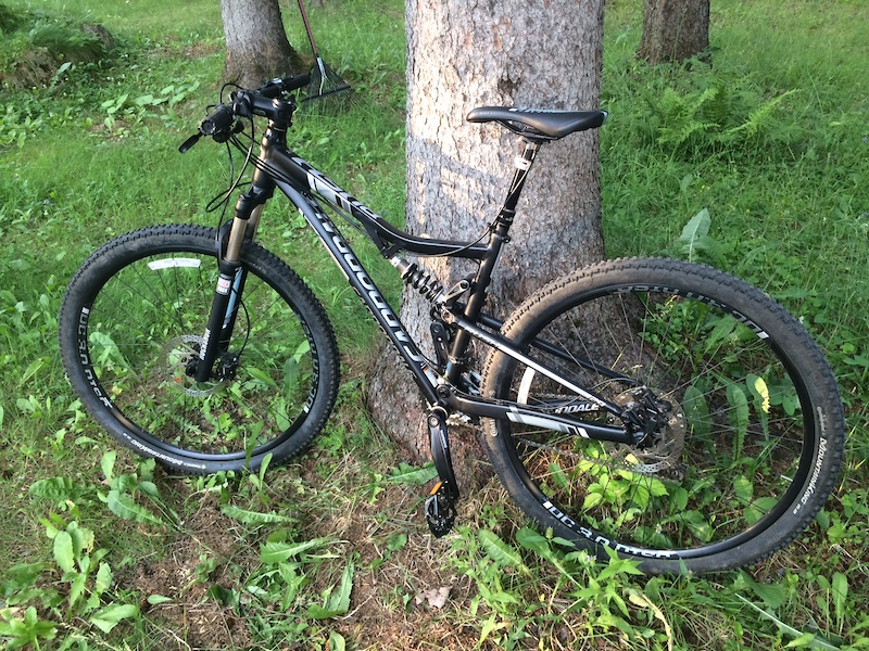 cannondale rush 29er