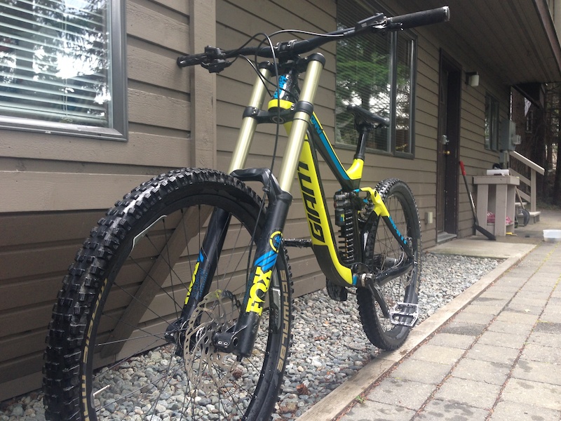 2016 Giant Advanced Glory 1 Carbon For Sale