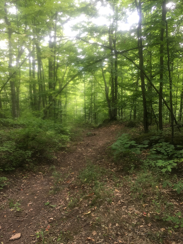 Elevator Shaft Multi Trail - The Blue Mountains, Ontario