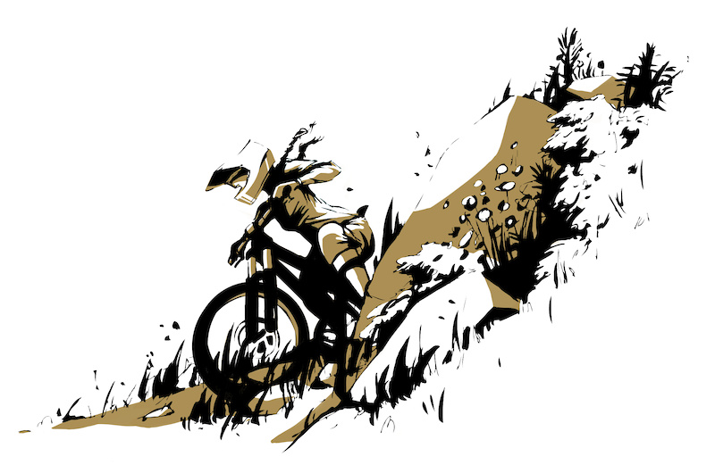 Mountain Bikers  Bike drawing Bike illustration Mountain biker