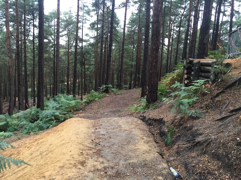Swinley Forest - Pinkbike Forum