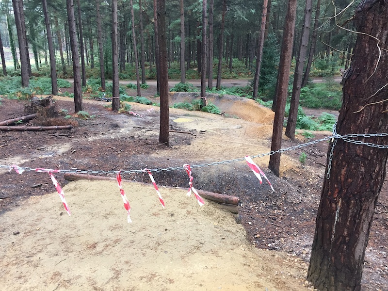 Swinley Forest - Pinkbike Forum