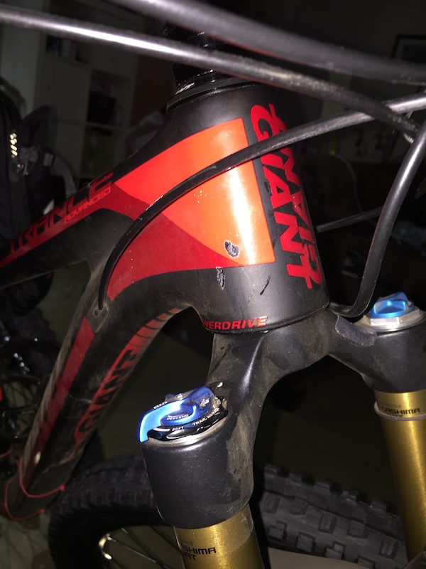 giant trance decal kit