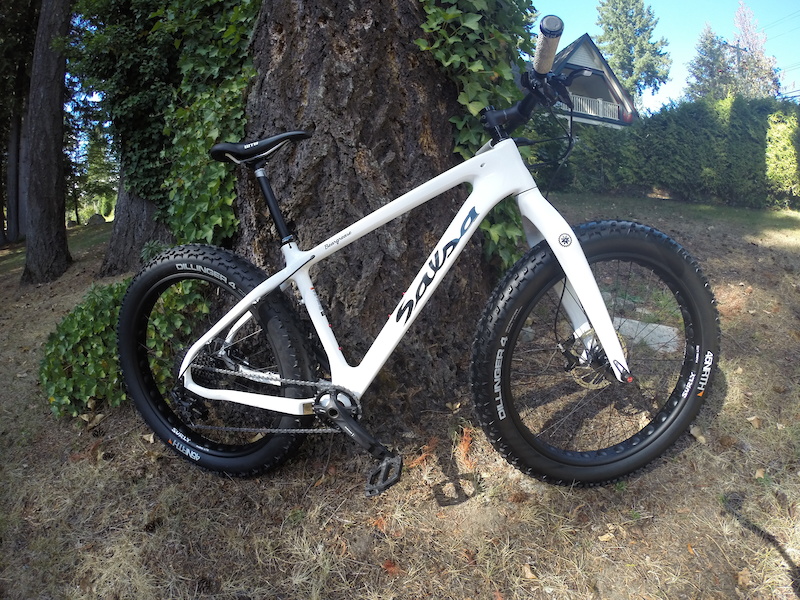 2016 salsa beargrease carbon x1