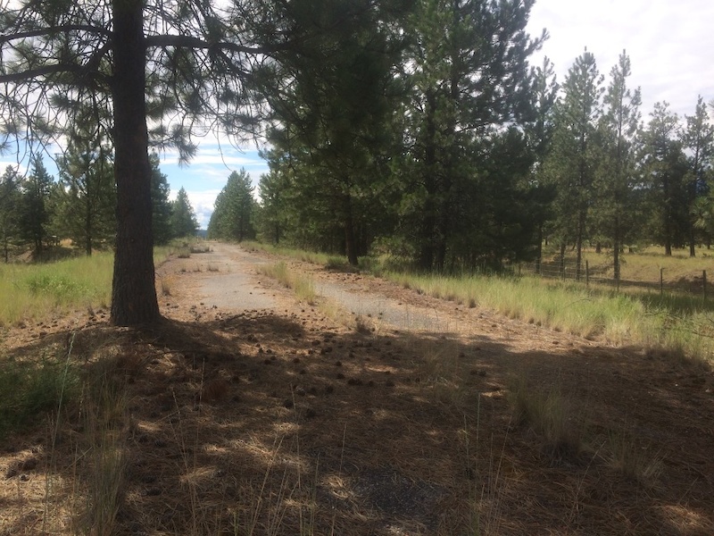 Wardner Abandoned Highway Segment (Chief Isadore Trail) Multi Trail ...