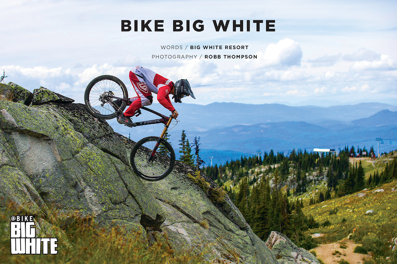 bike big white
