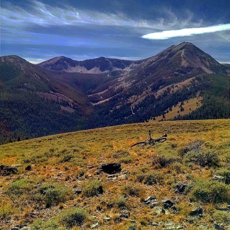 Payne Creek Mountain Biking Trail Leadore, ID