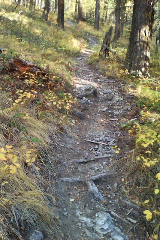 Historic 71A Multi Trail Kalispell, Montana