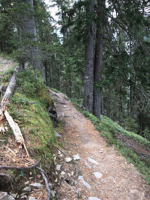 Alps Epic Trail: Monstein - Wiesen Station Multi Trail - Davos