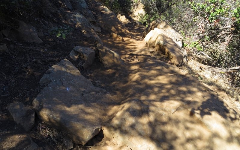 This trail is rocky and steep in spots.