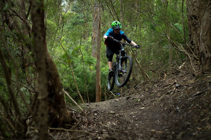 Loam Line Mountain Biking Trail Hobart Trailforks