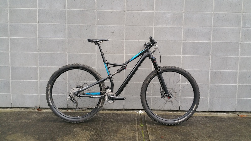 specialized camber frame