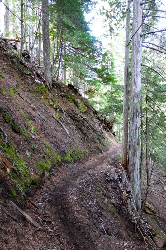 The only purpose built trail in the Wenatchee area that allows mountain bikes, but does not allow motorcycles.  - Photos by Evergreen Mountain Bike Alliance
