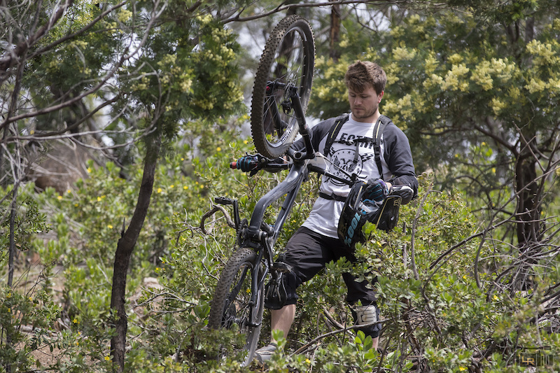 you yangs bike tracks