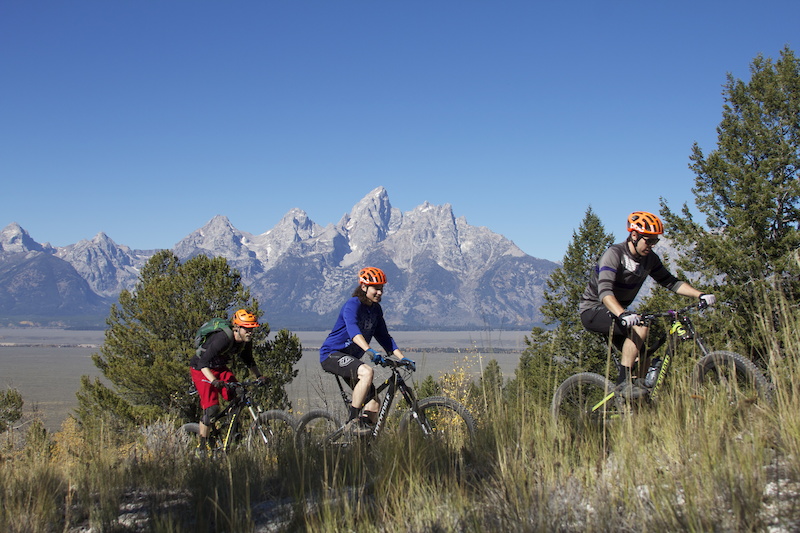 Shadow Mountain Mountain Bike Trail Jackson, Wyoming