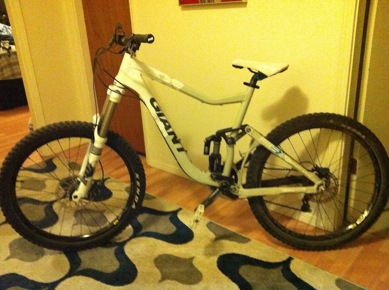 giant reign custom paint