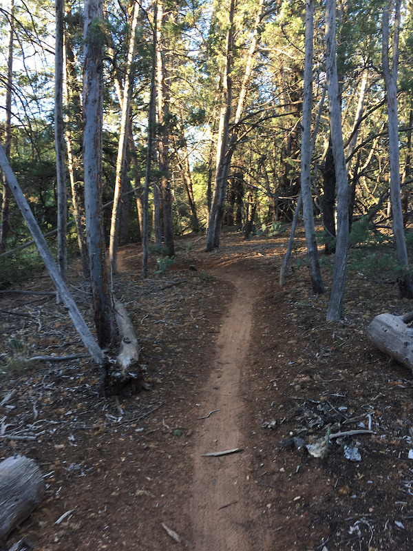 AZ Cypress Multi Trail Dry Creek, Sedona, Arizona