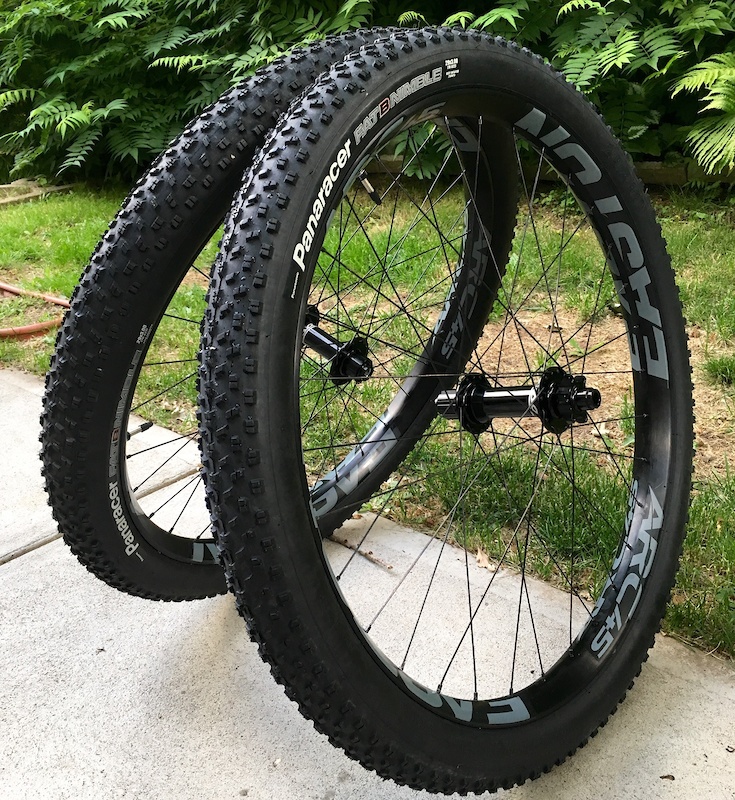 32 hole 29er rims