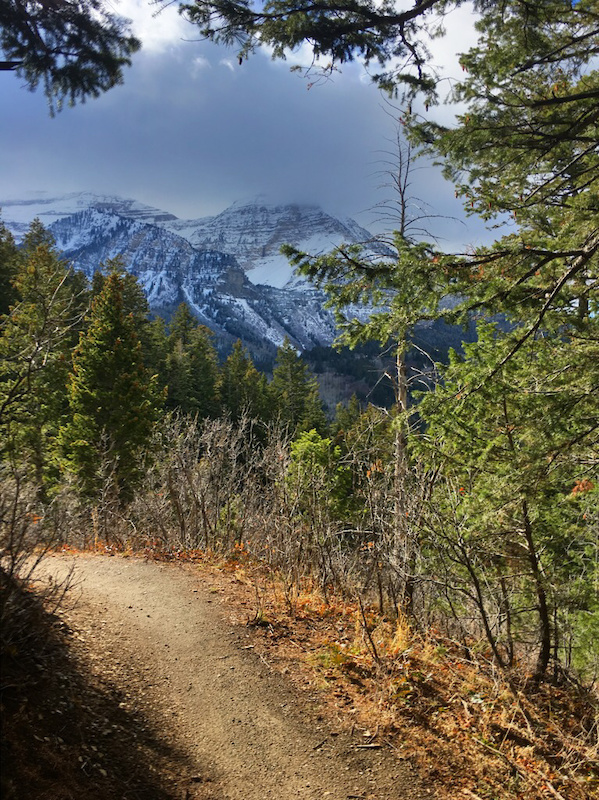 salamander flats campground