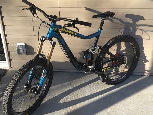 giant reign custom paint