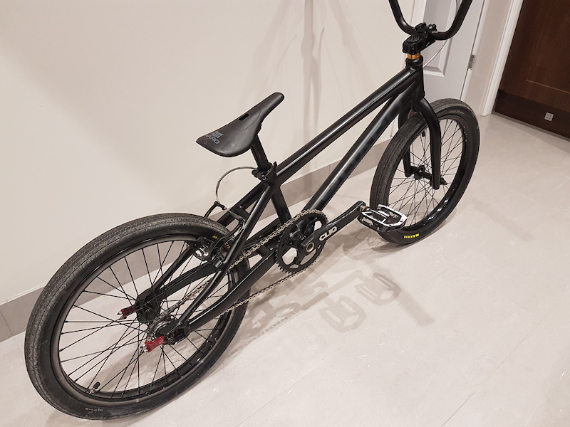 haro blackout 2013