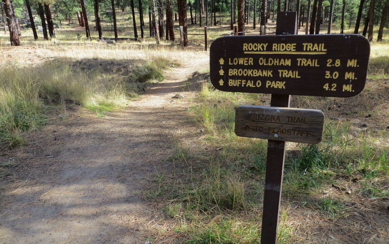 Rocky Ridge trail is a technical trail that parallels the Mt. Elden fire road, it will spit you out at the top of the Lower Oldham trail, and is much more fun than the road.