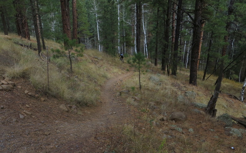 Schultz is a local favorite for good reason. It's fast, cool singletrack.