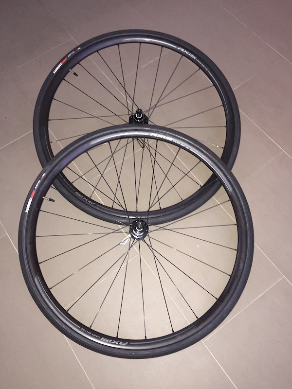 axis 3.0 disc scs