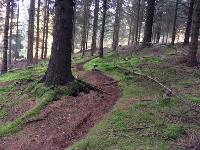 The Magic Carpet Ride Mountain Biking Trail - Minehead