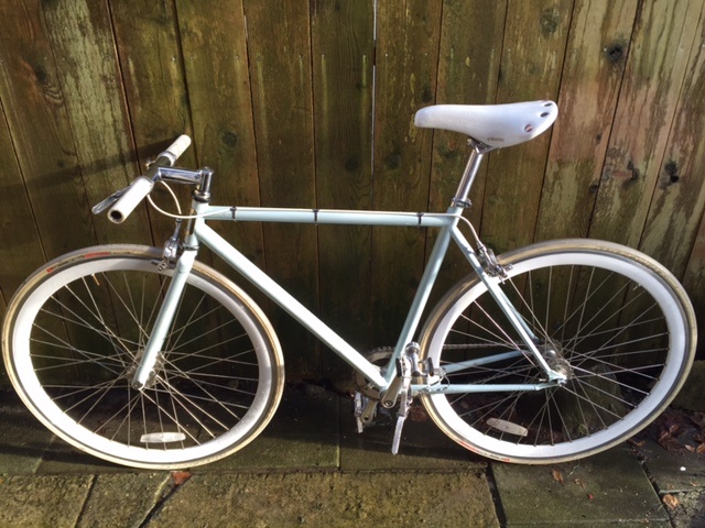 specialized globe roll 1