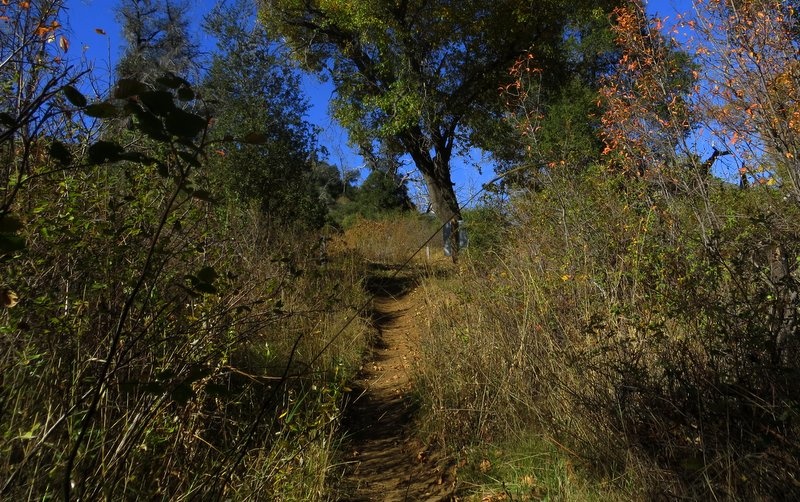 Trail entrance from the north end of Cuyamaca.
