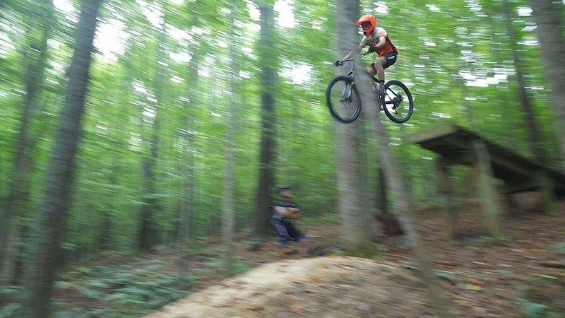 Hardtail Hits