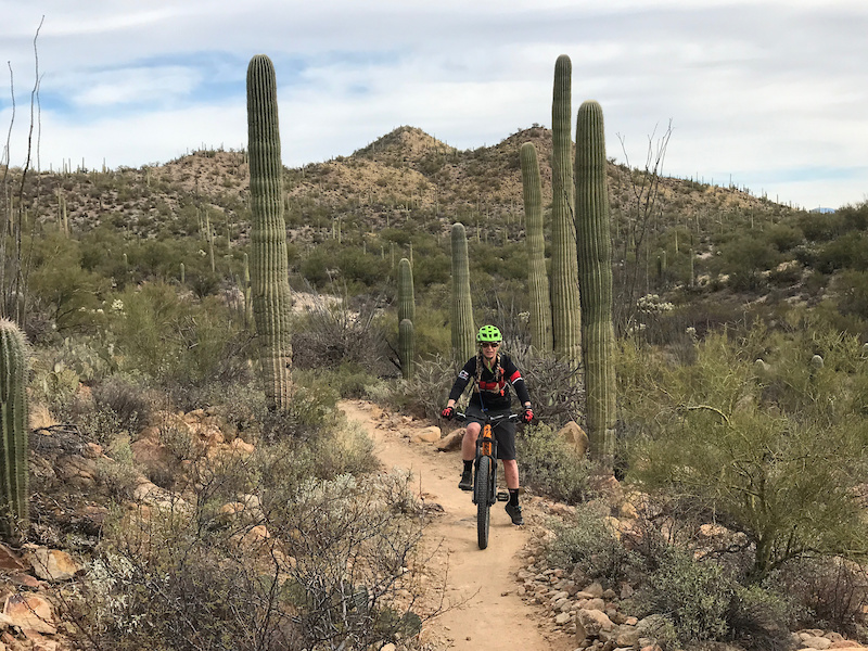 Starr Pass Mountain Bike Trail Tucson, Arizona
