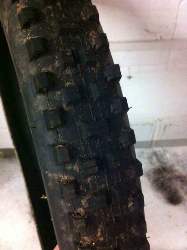 0 Maxxis Shorty DH Casing Super Tacky 2.4